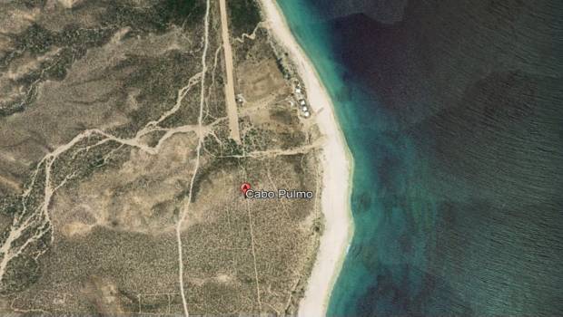 Compran playa en Cabo Pulmo con criptomonedas