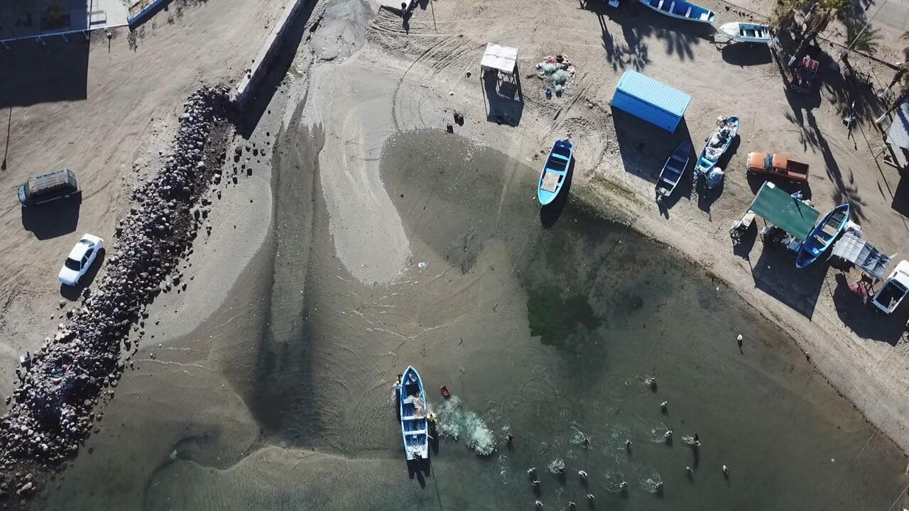 API busca autorización para dragar puertos de La Paz, Santa Rosalía y Loreto