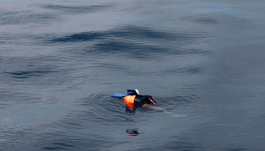 Niño africano muere en su travesía migratoria a Europa