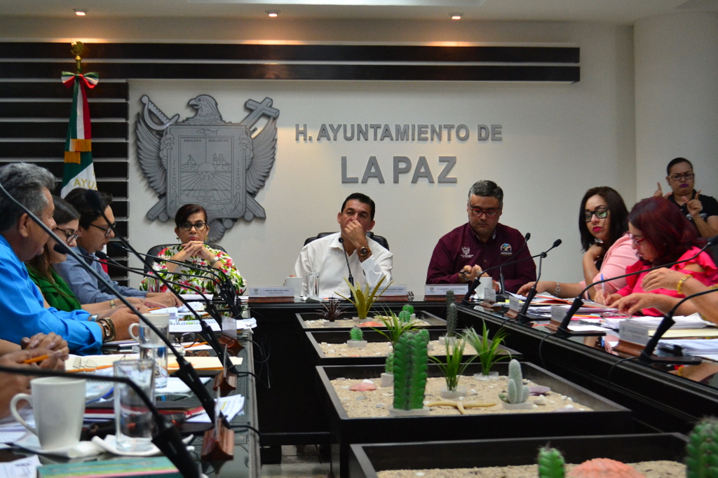 Los ingresos del Ayuntamiento paceño van a la baja