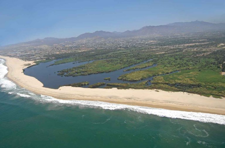 Estero de San José del Cabo, BCS.