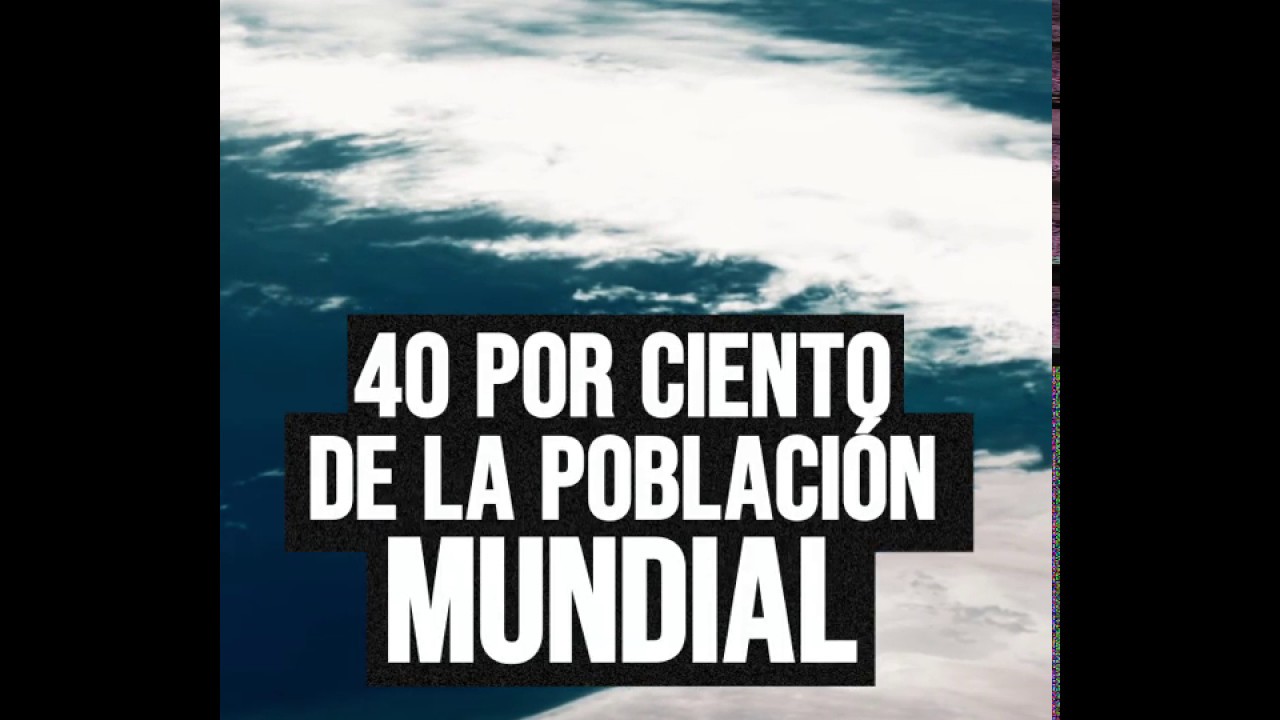 #Video | Sin agua