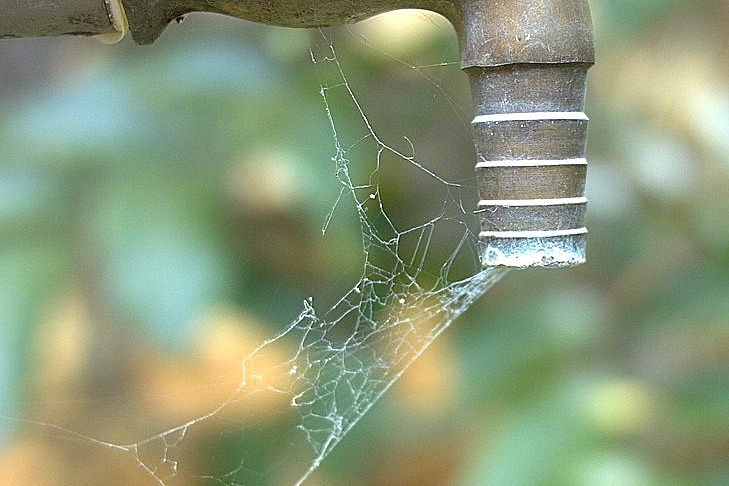 La escasez de agua en La Paz ha incrementado más de 300 por ciento en 5 años