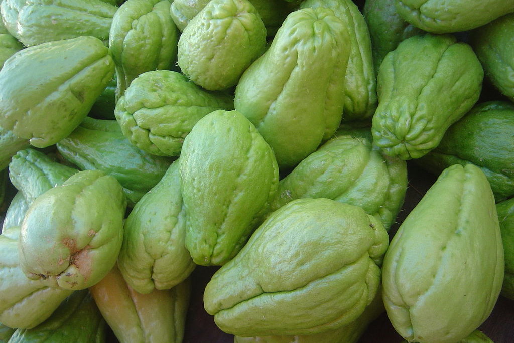 Avanza la ley chayote en BCS
