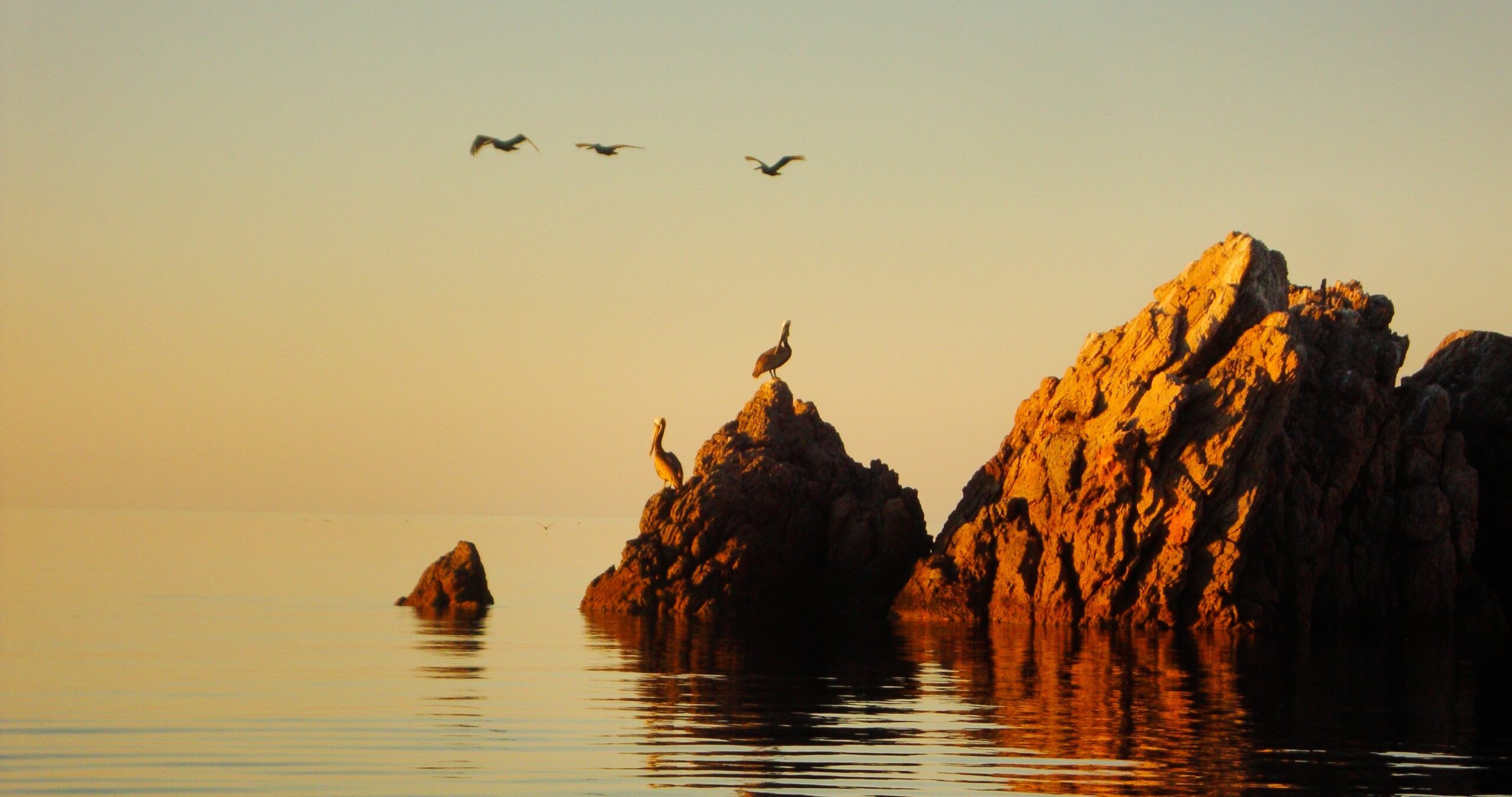 Gobierno de BC eliminará de sus contenidos educativos al «Mar de Cortés»