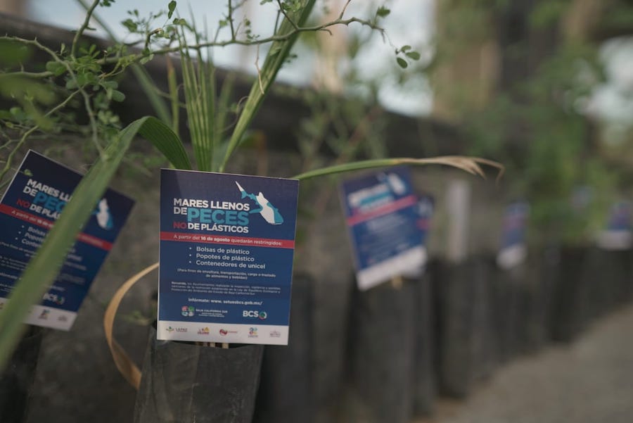 BCS será líder en abandonar la cultura del plástico: CMD