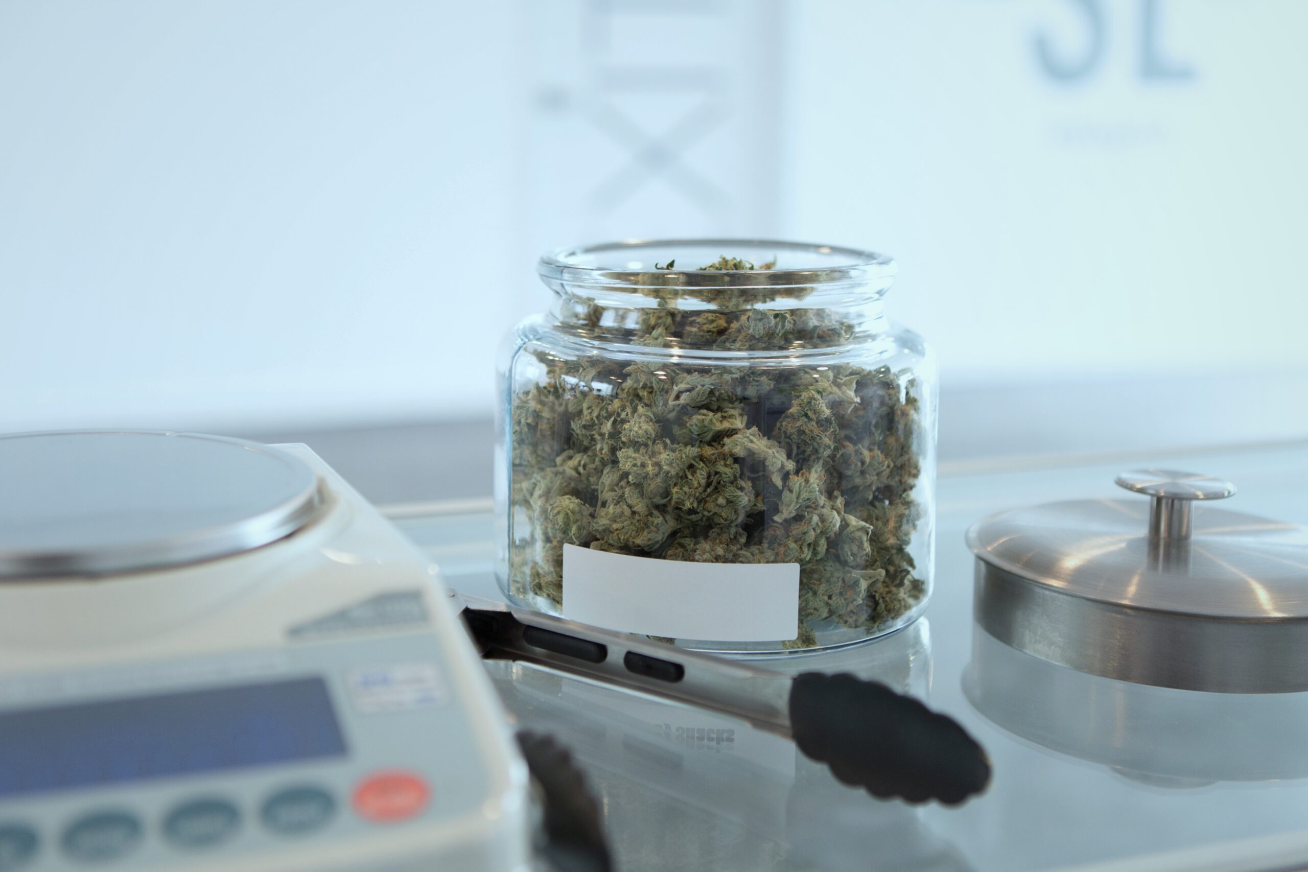 Marihuana ayuda a revertir envejecimiento del cerebro