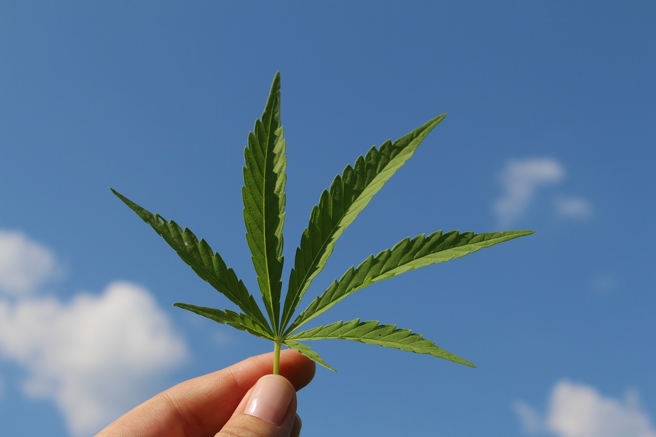 Exigen un alto a detenciones arbitrarias de fumadores de marihuana