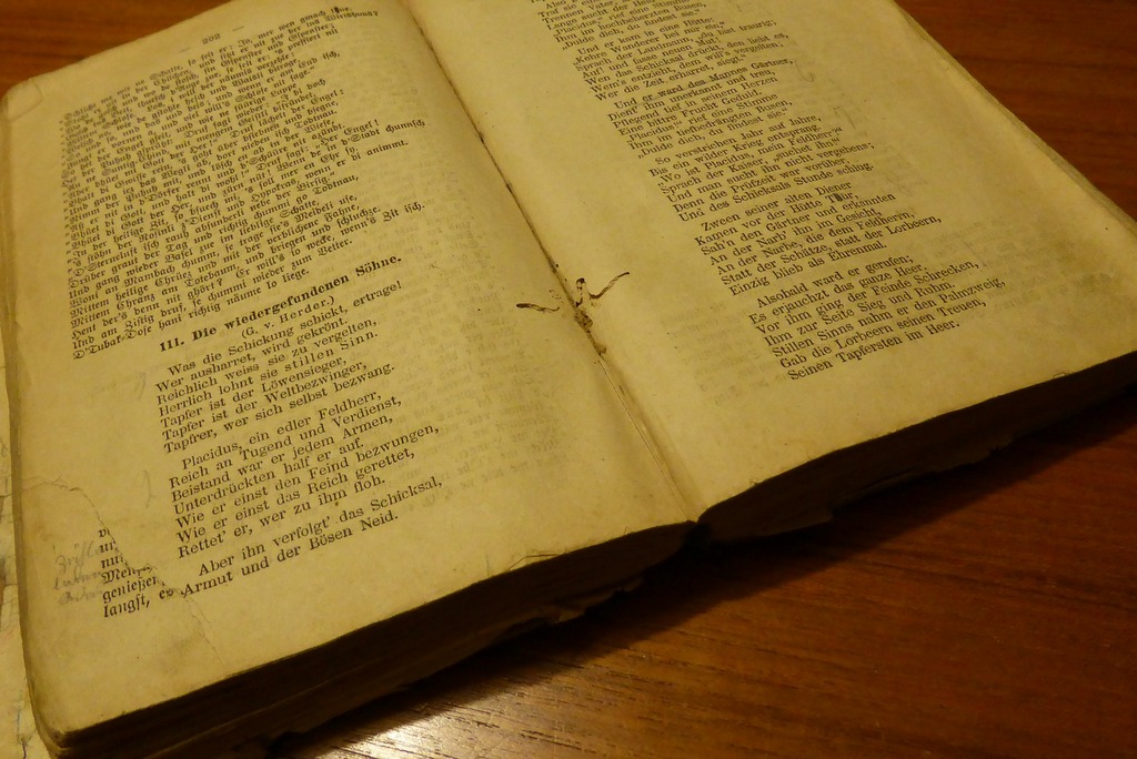 Compartir demencias: Sobre libros y lecturas (Parte II)