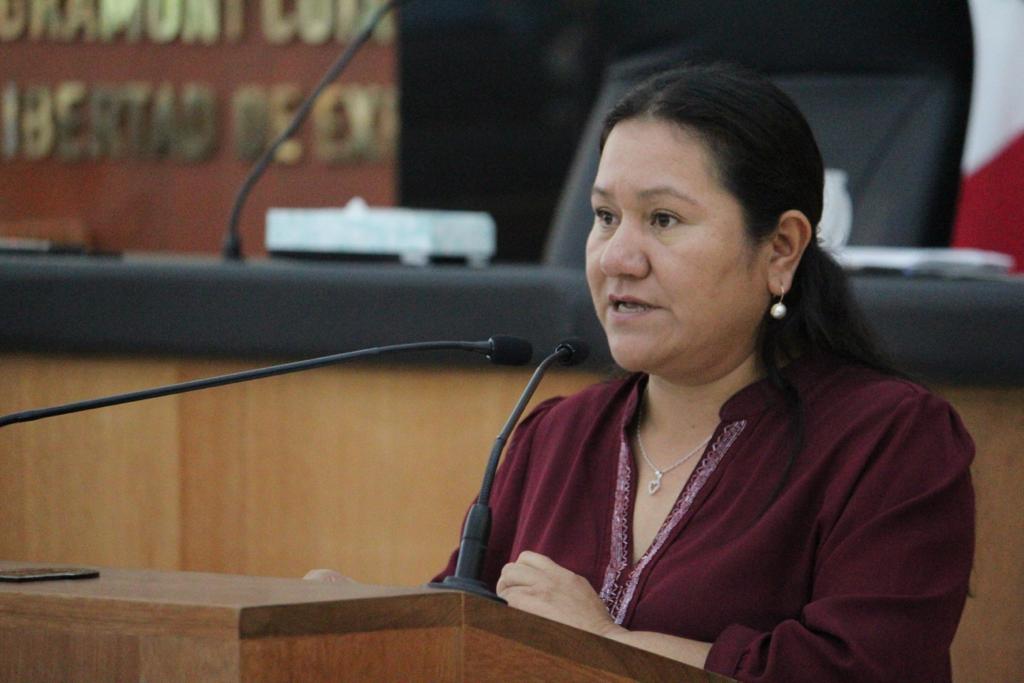 Diputada acusa al gobernador de “dar muestras de racismo”