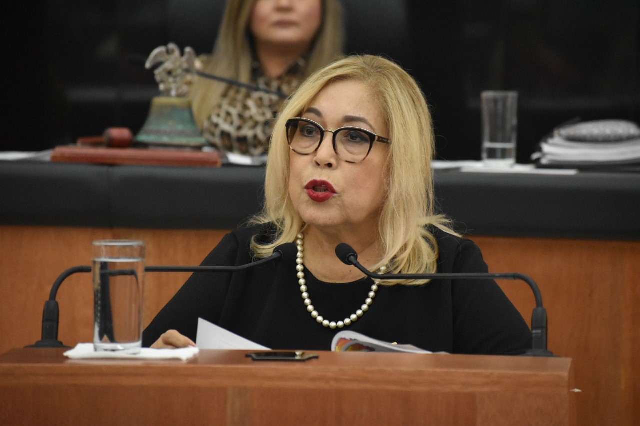 Los programas de vivienda públicos o privados deben tener espacios accesibles, equitativos e incluyentes: Anita Beltrán