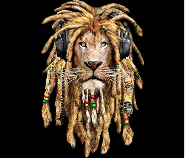 Todo listo para el Reggae Fest La Paz 2019