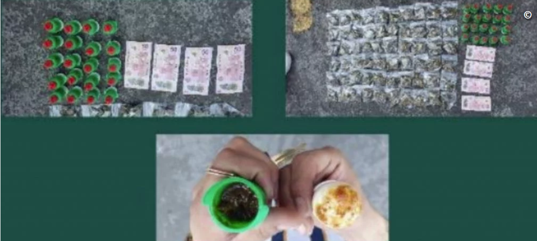 Marihuana en «Pelón Pelo Rico»; hay tres detenidos