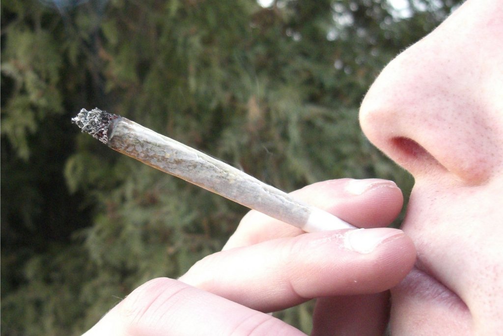 Cofepris deberá dar los permisos para consumir mariguana legalmente