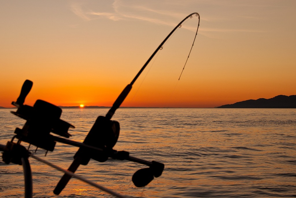 BCS formaliza convenio con Conapesca para cobro de permisos por pesca deportiva