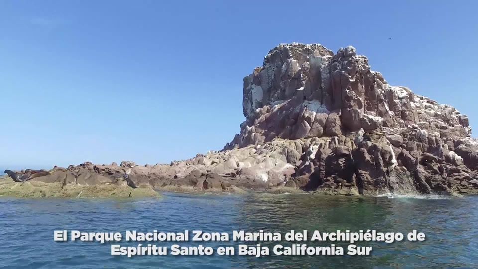 Suspenden actividades turístico-recreativas en isla Espíritu Santo