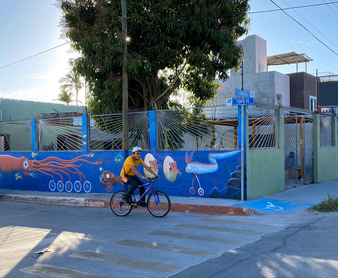 BCSicletos analizará la limpieza del aire durante cuarentena por el COVID-19