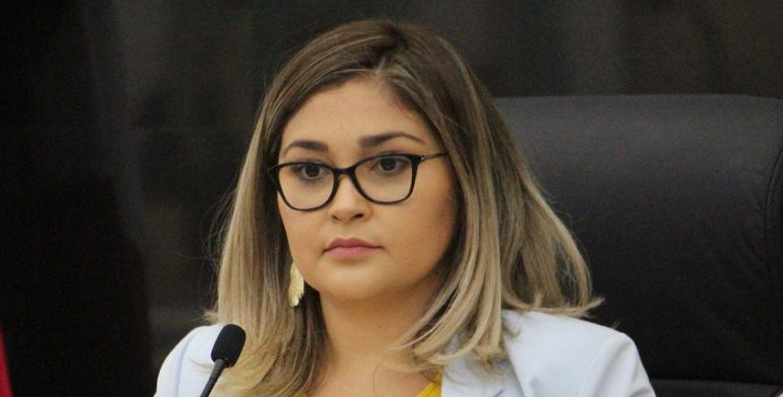 Diputada de la comisión de Cultura no voltea hacia el Consejo de Artistas Sudcalifornianos