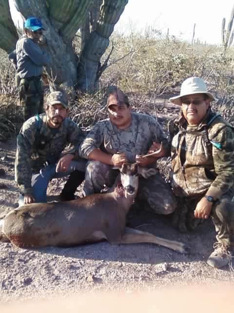 Exhiben al presidente del Verde en Comondú cazando venado bura