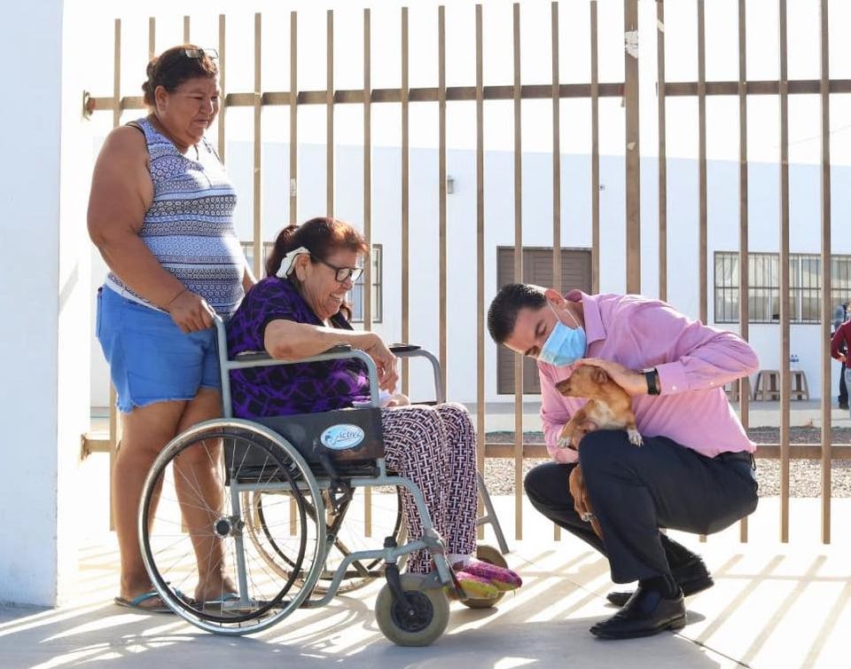 El jugoso negocio de los perros callejeros en La Paz