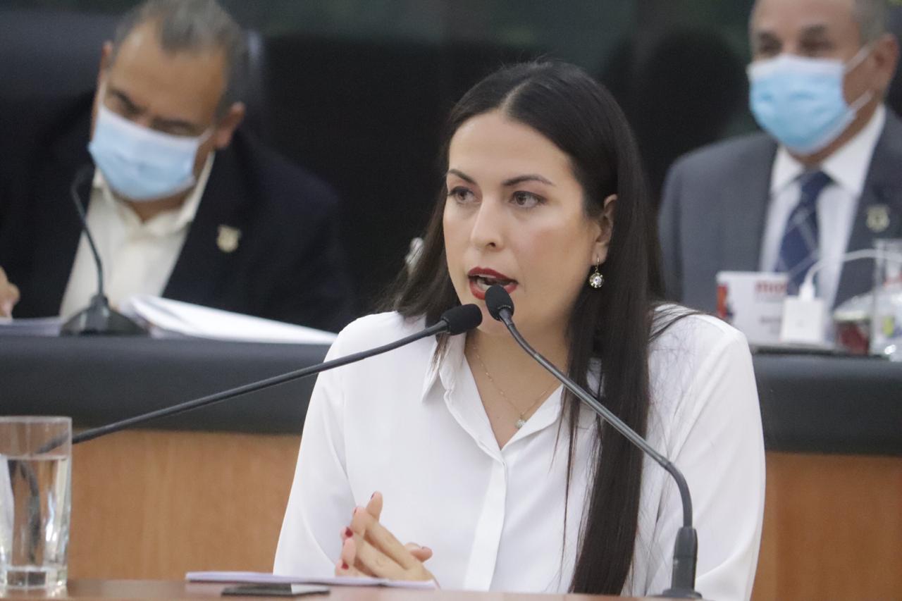 Reforman Ley Orgánica Municipal para proteger Bienes de Dominio