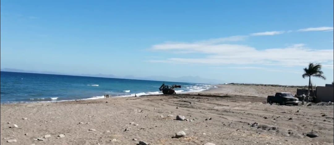 Indigna video de trascabo destruyendo playa en San Juan de la Costa