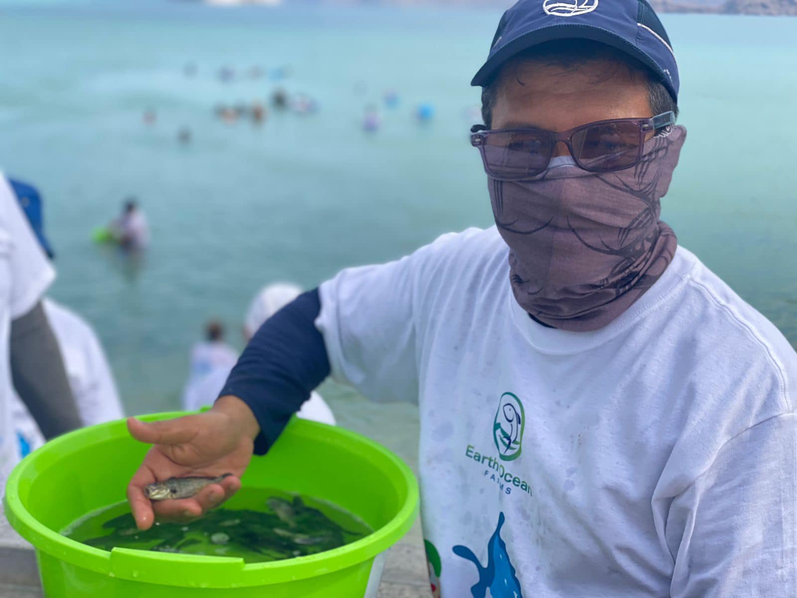 146, 500 totoabas han sido liberadas en el golfo de California por Earth Ocean Farm