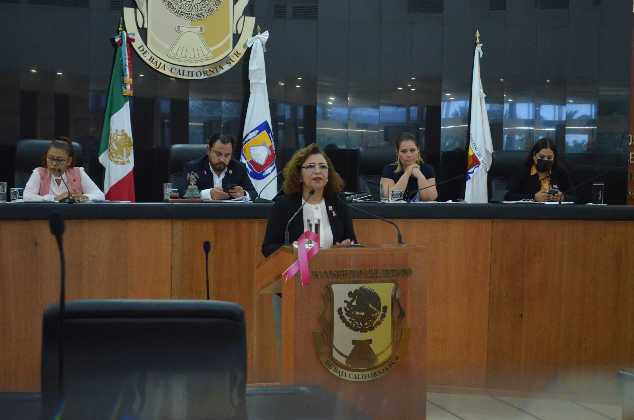 Propone Diputada María Luisa Ojeda aumentar prerrogativas de partidos a la capacitación para la mujer