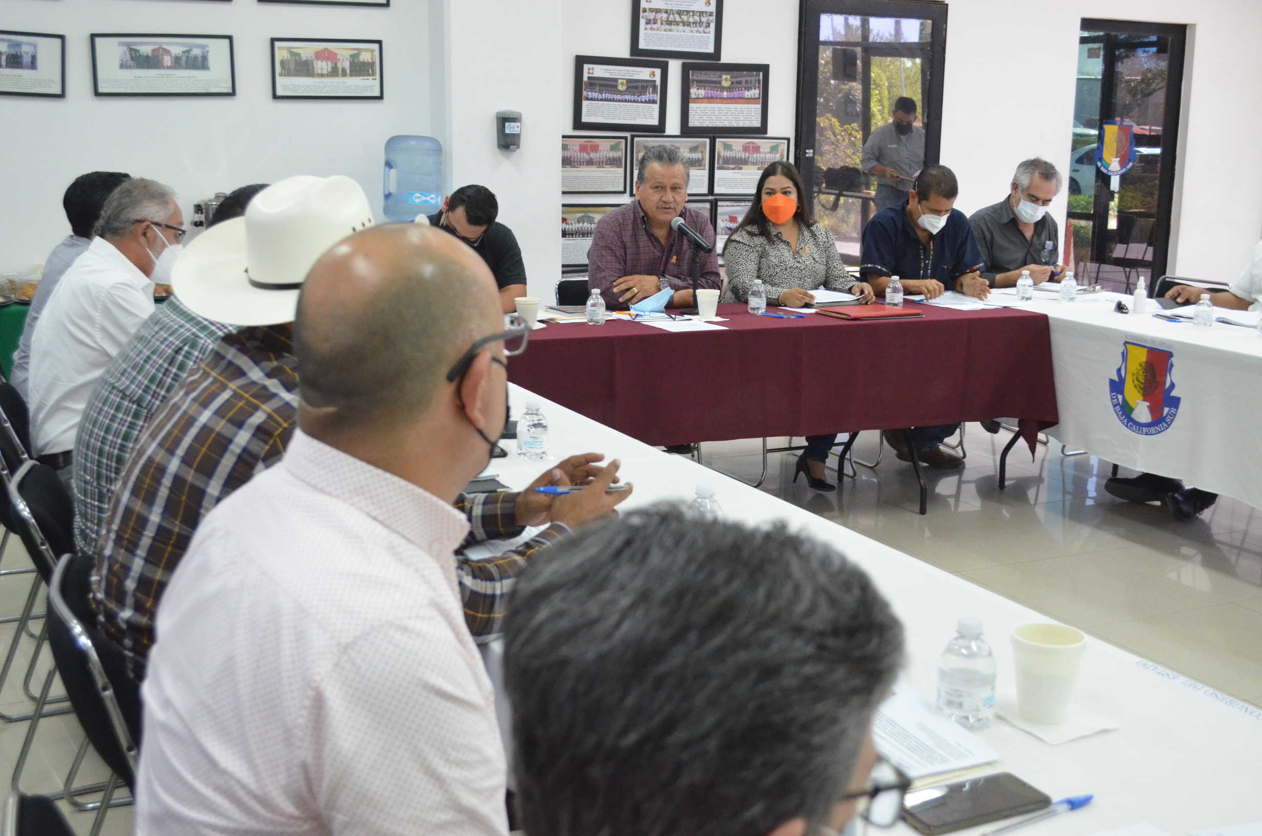 Plantean foro para actualizar la Ley Ganadera