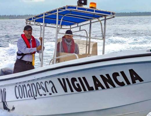 Total rechazo a que desaparezca CONAPESCA: diputado Armando Martínez