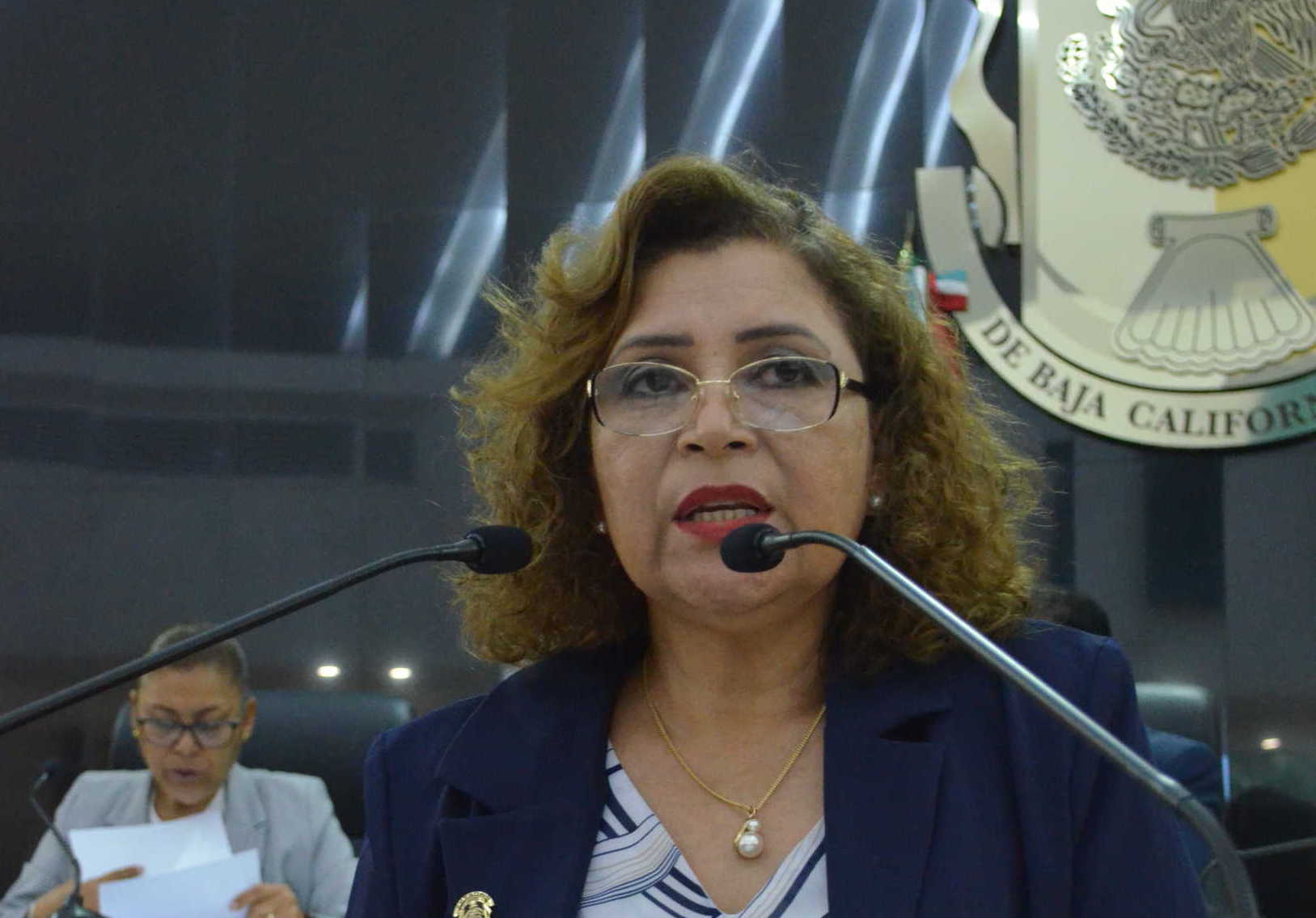 Diputada celebra publicación de decretos y afirma lucha permanente contra violencia de género