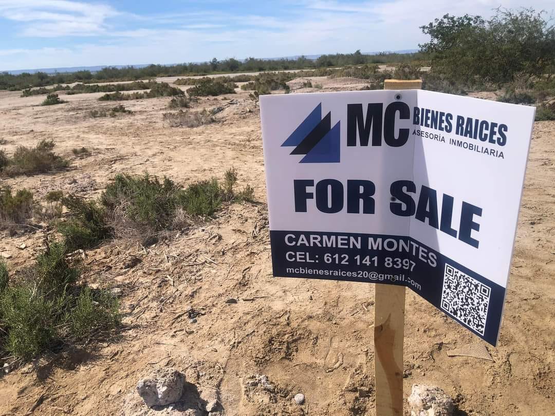 Inspeccionan posible desarrollo urbano ilegal cerca del manglar “El Conchalito”