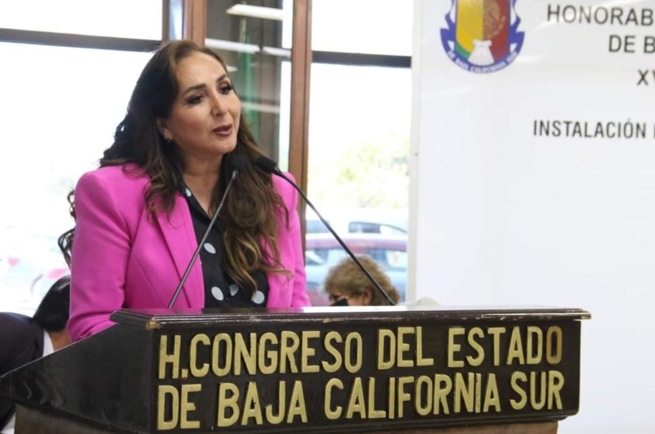 Ningún congreso estatal puede legislar en materia procesal, civil y familiar. Es competencia federal: dip. Eda Palacios