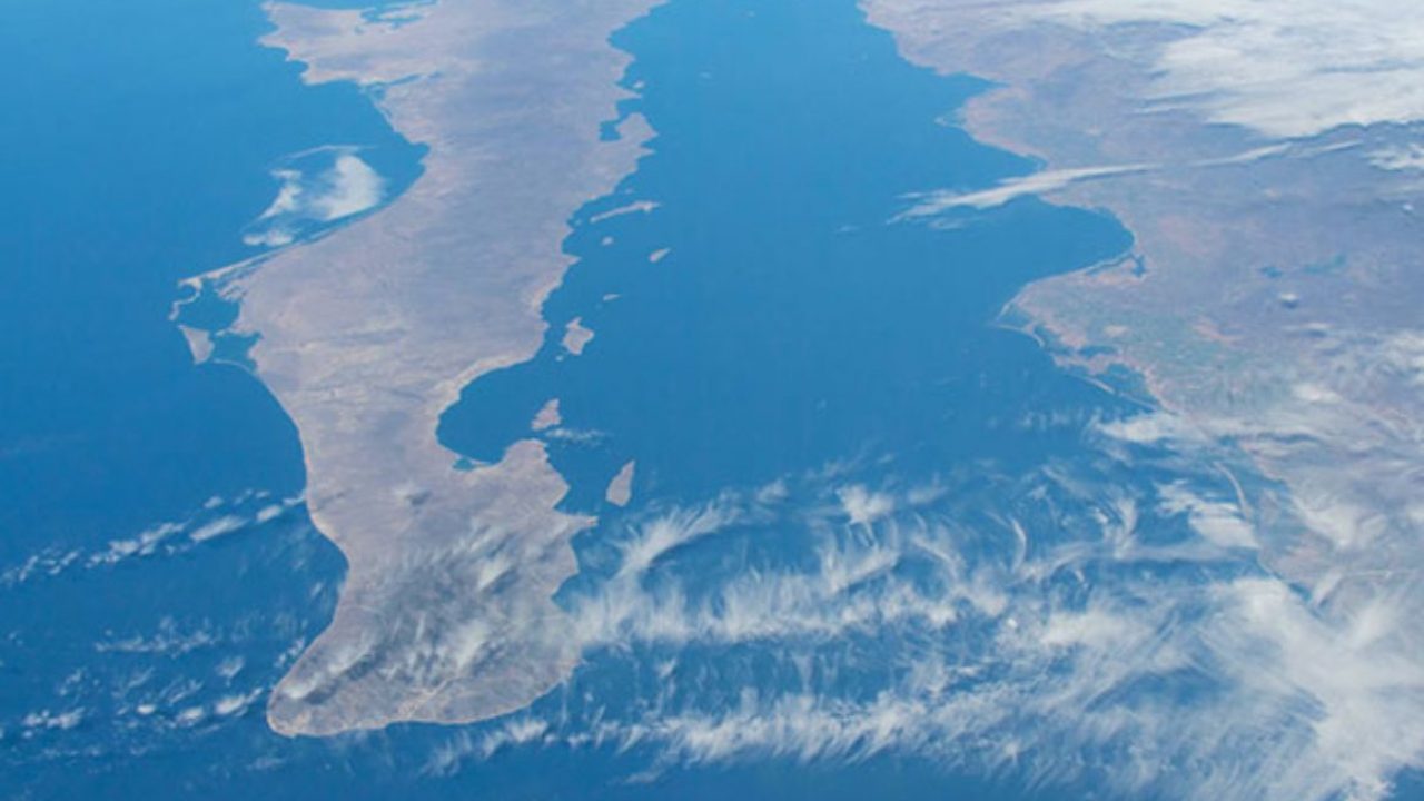 Investigadores reconstruyen historia ambiental del golfo de California