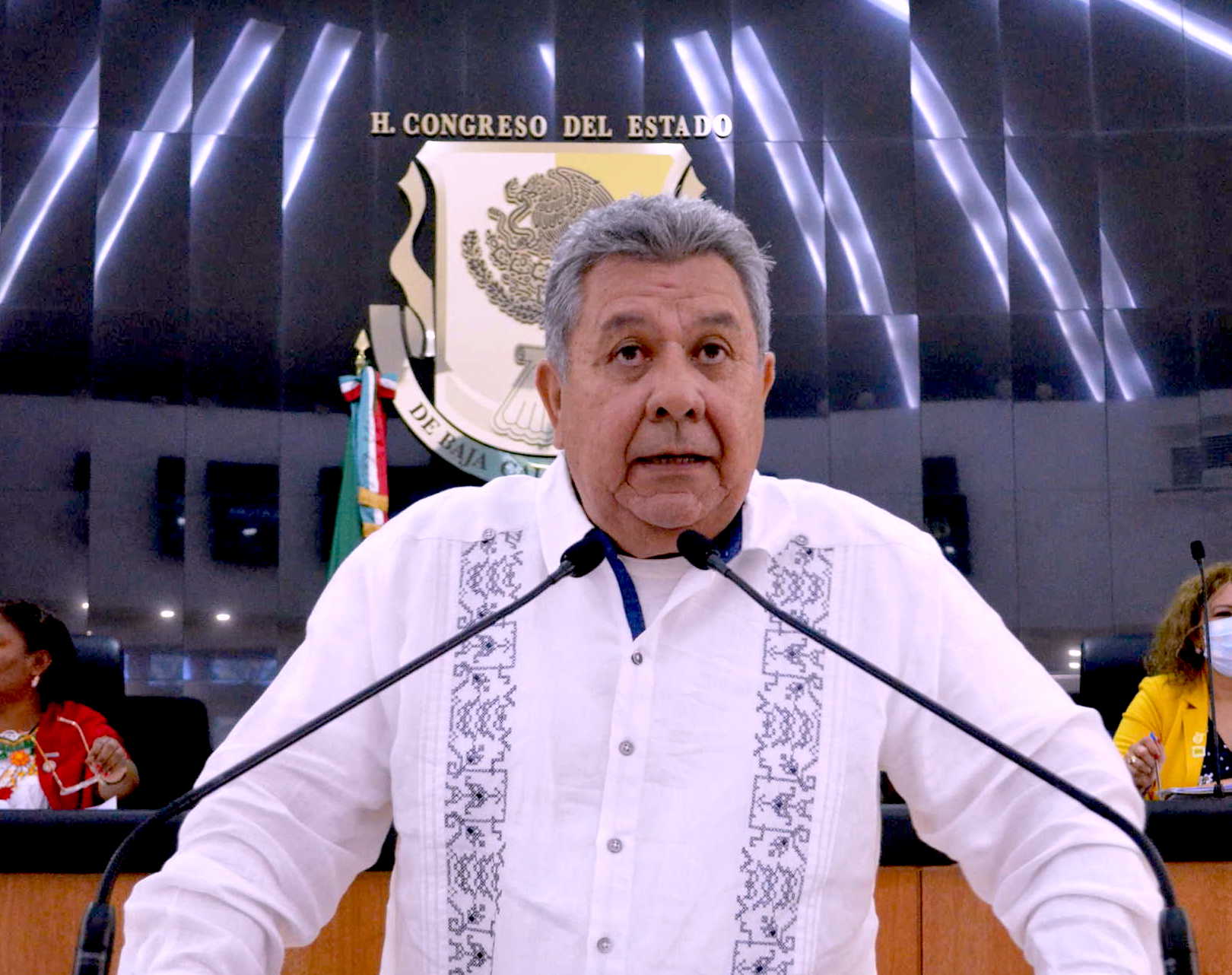 Reforma electoral, Leyes de amnistía y movilidad en este periodo de sesiones