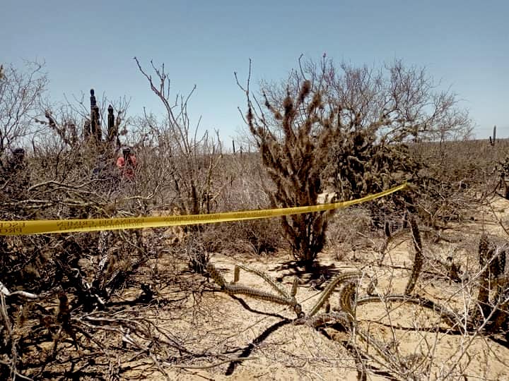 Siguen apareciendo restos y desapareciendo personas en BCS: Casos Comondú y Protocolo Alba