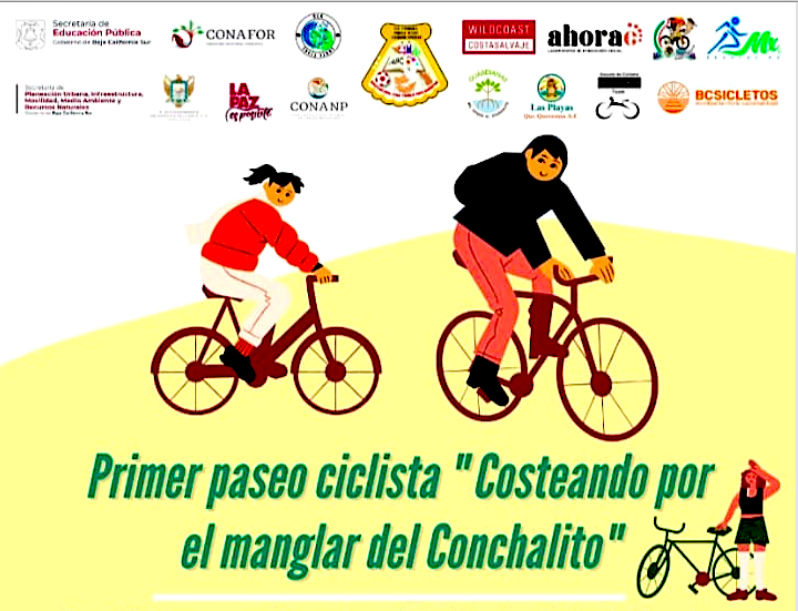 Participa mañana en el paseo ciclista «Costeando por el manglar del Conchalito»