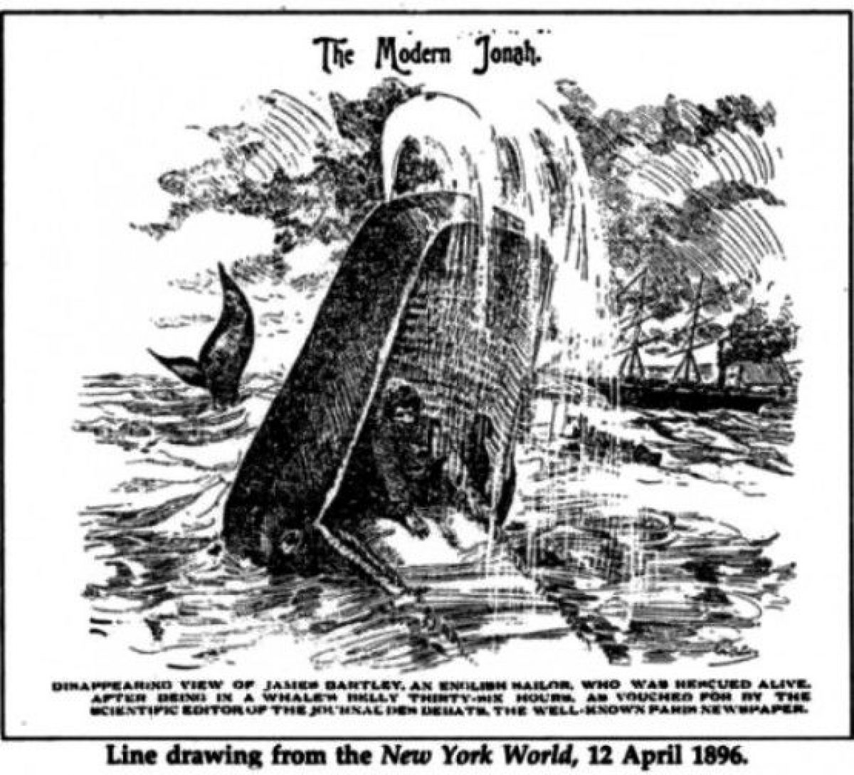 La fe de las ballenas de Ulises Torres