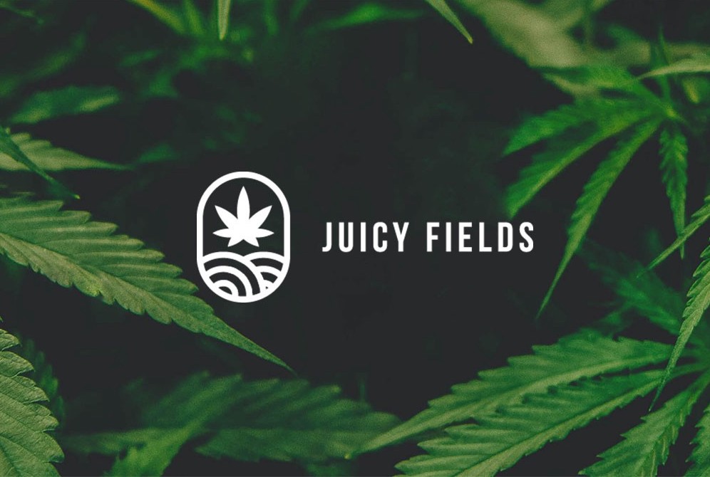 Juicy Fields, la nueva estafa: ahora con cultivo de mariguana