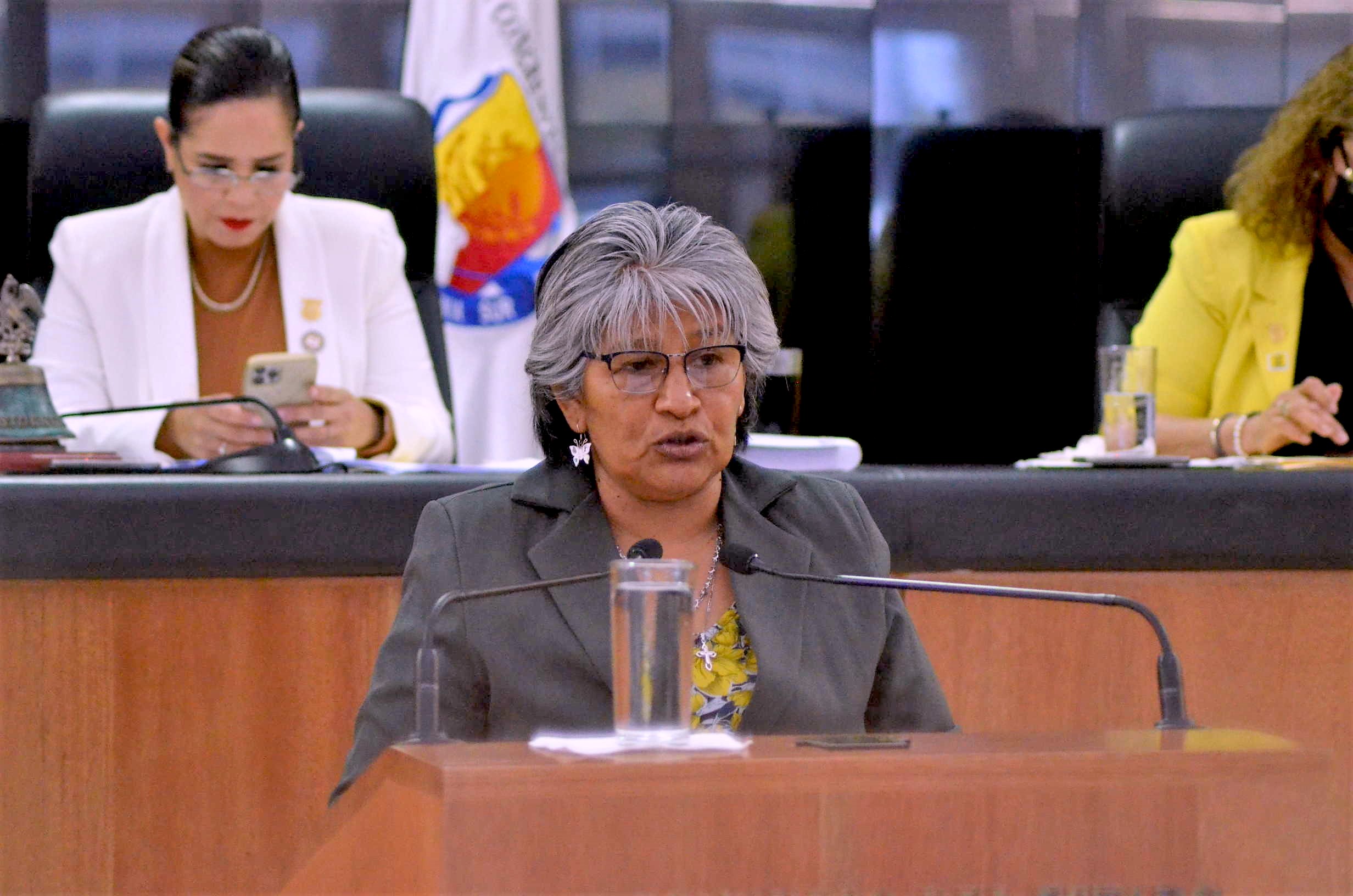 Dip. propone se publiquen resoluciones electrónicamente en Tribunal Burocrático