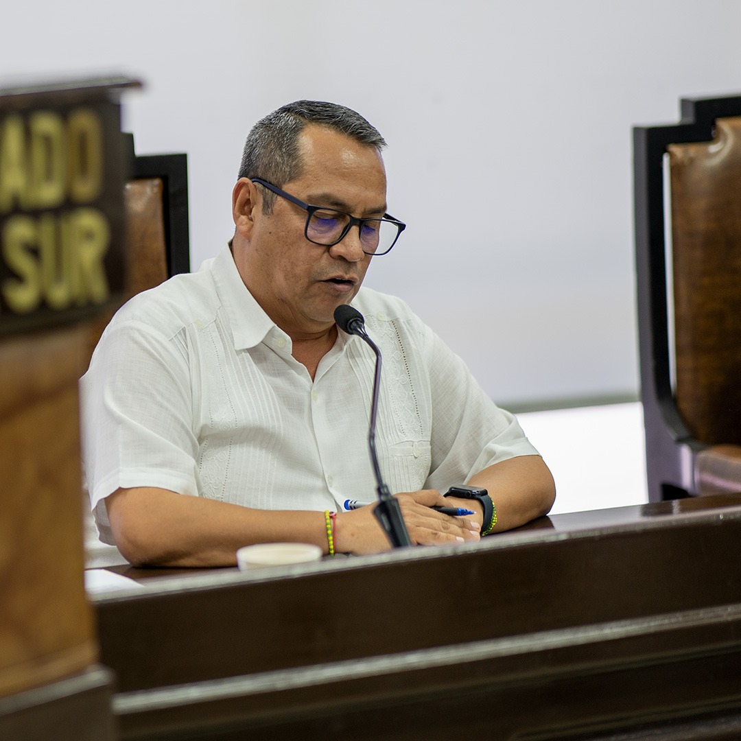Luis Armando Díaz pide se garantice política incluyente en Ley Electoral