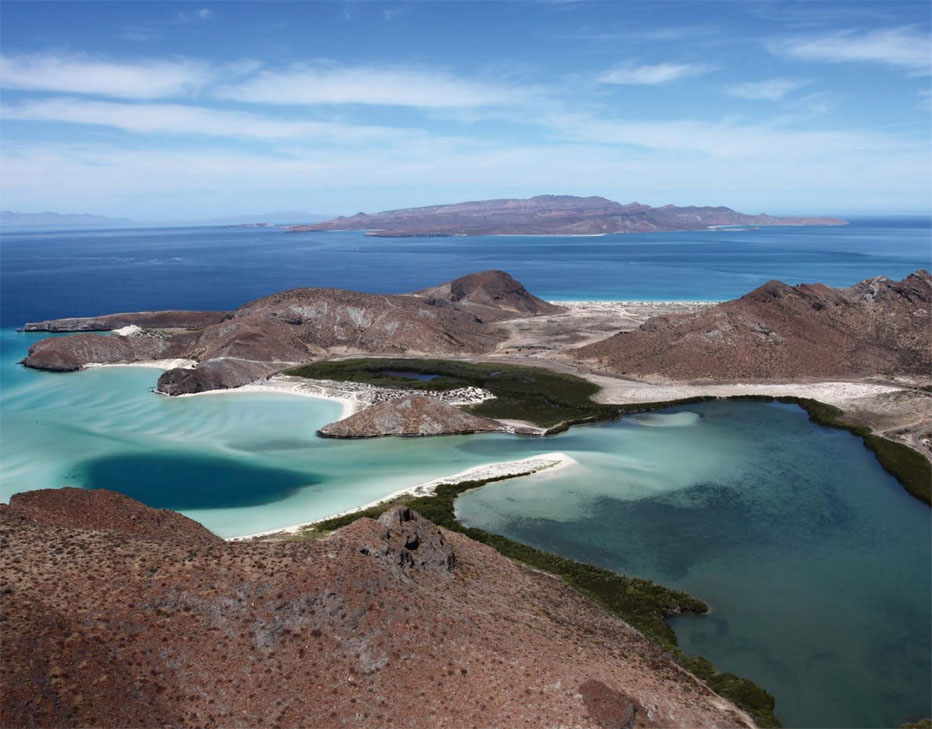 Preparan Foro ConCiencia La Paz en busca de soluciones sustentables