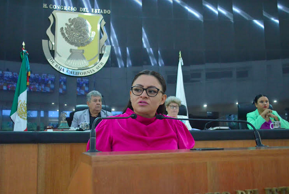 Fumigación y reparación de carreteras para Loreto y Mulegé, propone Paz Ochoa