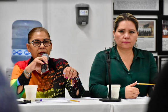 Socializan convocatoria de Reforma Electoral con mujeres y grupos de diversidad sexual