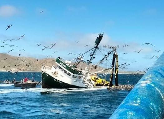 Sacan del mar barco sardinero hundido por sobrepeso en Bahía Magdalena
