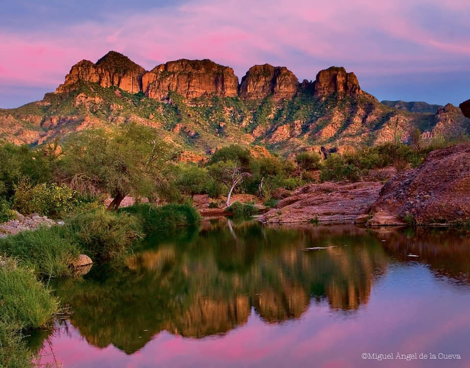 Inmoral venta de derechos y tierras ejidales a políticos en BCS: Víctor Castro