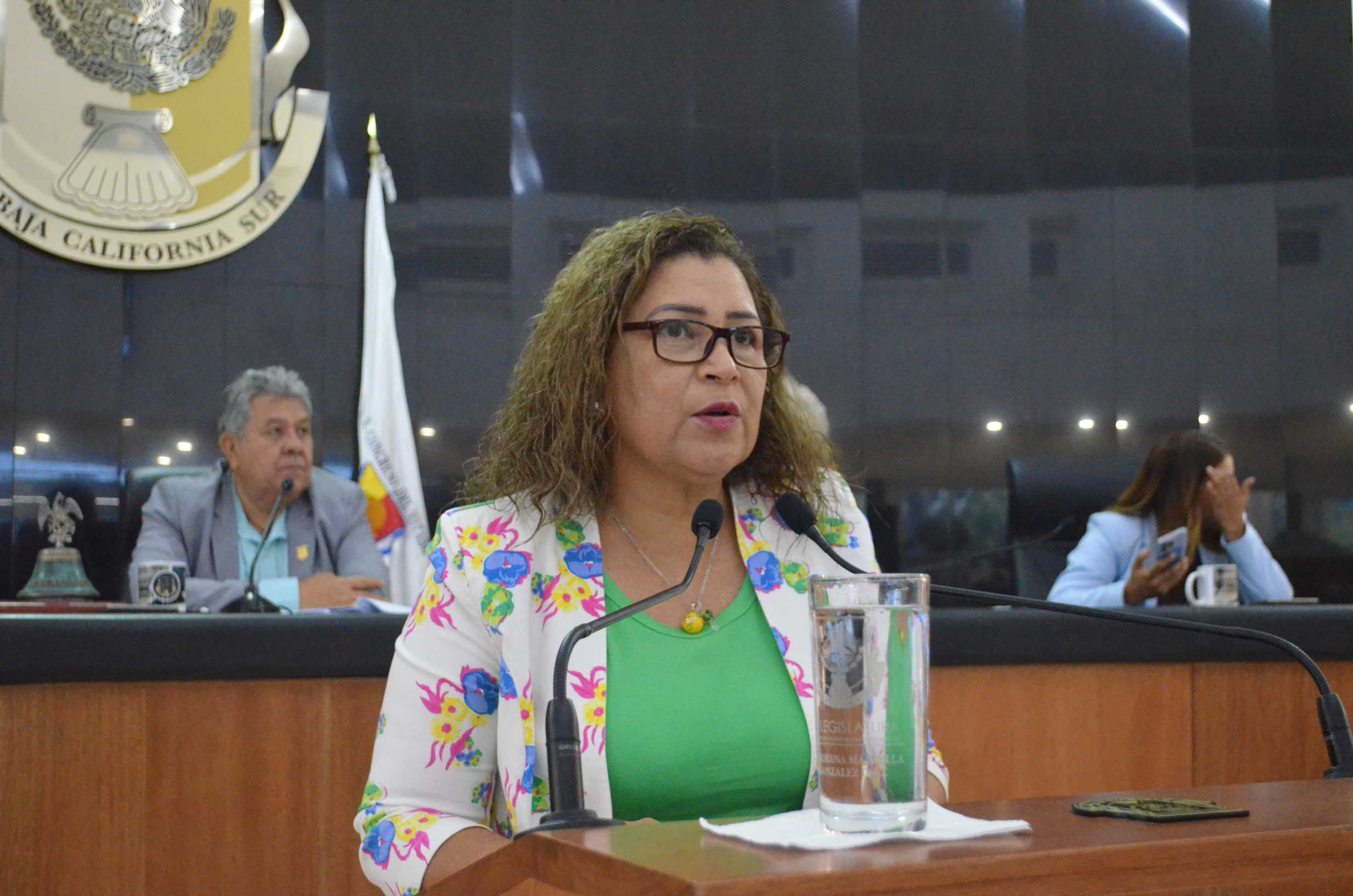 «Las mujeres seguimos en espera de que se dignifiquen las políticas de Prevención»: diputada