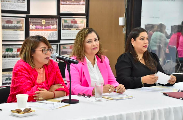 Comisión de Igualdad de Género prepara protocolo contra violencia de género