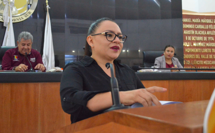 Paz Ochoa propone aumentar sanciones contra delito de robo