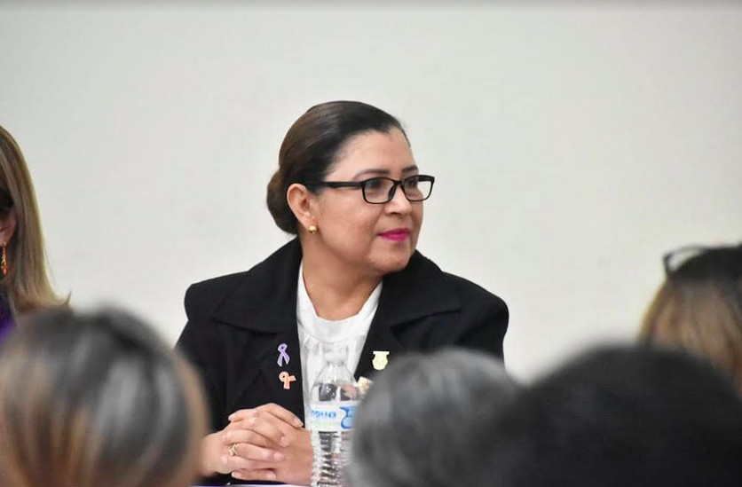 «Urge que el Ejecutivo publique Ley 3 de 3»: Diputada María Luisa Ojeda